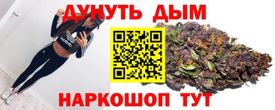гидра Дмитров