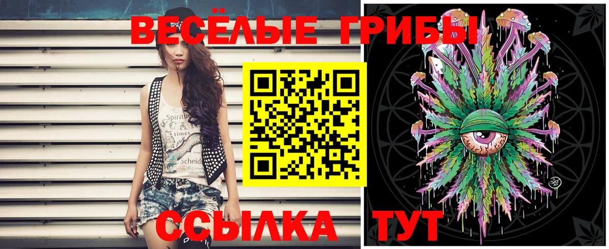 Галлюциногенные грибы Psilocybine cubensis Оренбург
